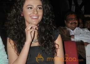 Seerat Kapoor Photoshoot At Run Raja Run Audio Function photo 5