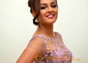 Seerat Kapoor Photoshoot At Tiger Audio Launch photo 2