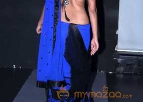  Shafqat Jahan Saree Stills 