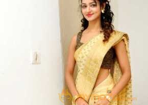 Shanvi Beautiful Gold Dress Pics photo 4