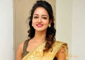 Shanvi Beautiful Gold Dress Pics photo 3
