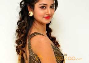 Shanvi Beautiful Gold Dress Pics photo 2