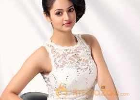  Shanvi New Photoshoot  photo 8