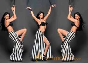 Sherlyn Chopra photo 7