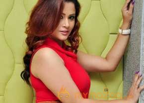 Shilpa Chakravarthy Photoshoot At Pandavullo Okadu Audio Launch photo 2