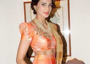  Shilpa Reddy Saree Stills  photo 6