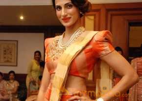  Shilpa Reddy Saree Stills  photo 10