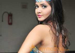 Shreya Vyas Photoshoot At Akhil Movie Audio Launch photo 4