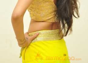  Shreya Vyas Photoshoot At Supreme Movie Audio Launch  photo 13