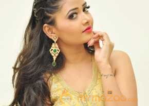  Shreya Vyas Photoshoot At Supreme Movie Audio Launch  photo 6