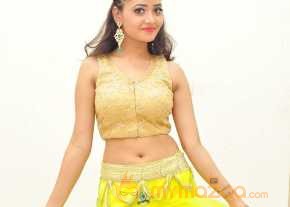  Shreya Vyas Photoshoot At Supreme Movie Audio Launch  photo 16