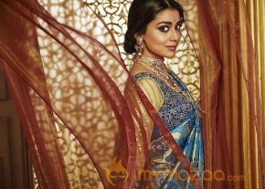 Shriya Saran Latest Photo shoot stills photo 18