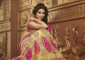Shriya Saran Latest Photo shoot stills photo 17