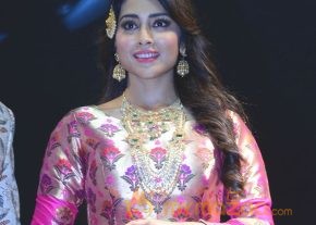Shriya Saran Latest Pics photo 4
