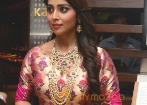 Shriya Saran Latest Pics photo 9