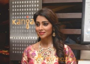 Shriya Saran Latest Pics photo 10