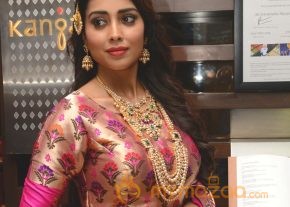 Shriya Saran Latest Pics photo 11