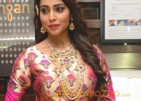 Shriya Saran Latest Pics photo 12