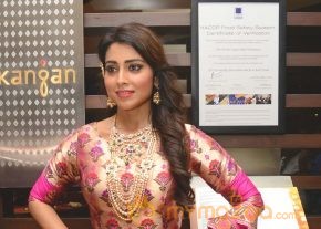 Shriya Saran Latest Pics photo 14