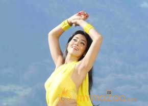  Shriya Saran Latest Pics  photo 16