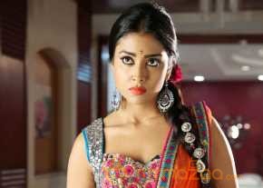 Shriya Saran photo 7