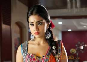 Shriya Saran photo 10