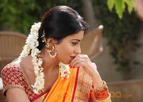 Shriya Saran photo 14