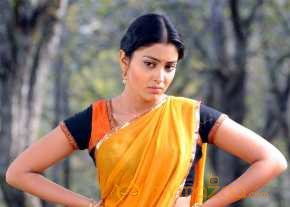 Shriya Saran photo 4