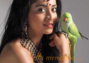 Shriya Saran photo 34