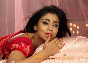 Shriya Saran photo 35