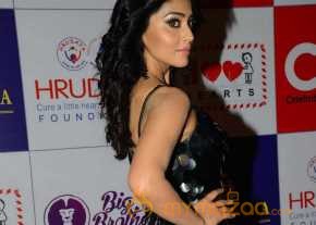 Shriya Saran photo 23