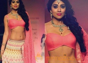 Shriya Saran's Latest Photos in Traditional Avatar