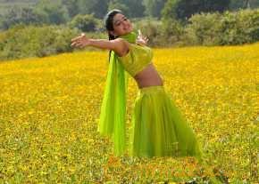  Shruthi Raj photo 4
