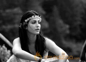  Shruti Haasan  photo 3