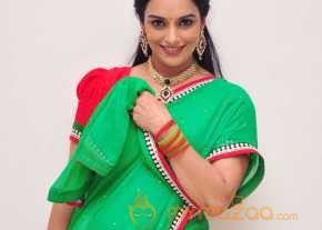  Shweta Menon Saree Stills  photo 6