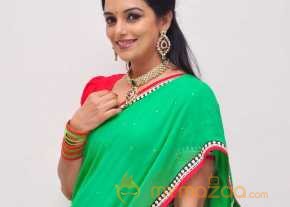  Shweta Menon Saree Stills  photo 4