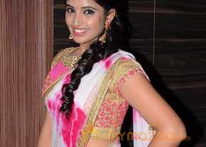 Shyamala Photoshoot At Jyothi Lakshmi Audio Launch photo 5