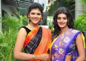 Silk India Expo Curtain Raiser Launch Stills photo 7