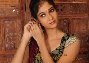Sindhu Affen photo 9