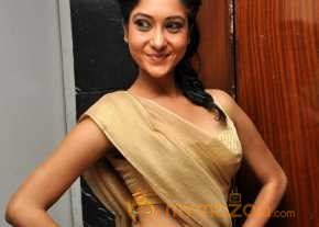 Sindhu Affen photo 18