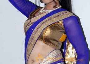 Sireesha Photoshoot At Okkaditho Modalaindi Audio Launch photo 7