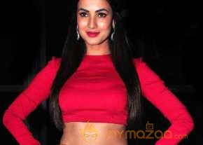  Sonal Chauhan Latest Pics  photo 6