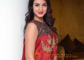  Sonal Chauhan Latest Pics  photo 10