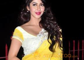 Sonarika Bhadoria Latest Photos photo 2