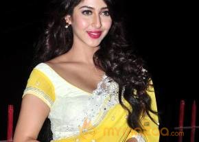 Sonarika Bhadoria Latest Photos photo 10