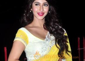 Sonarika Bhadoria Latest Photos photo 11
