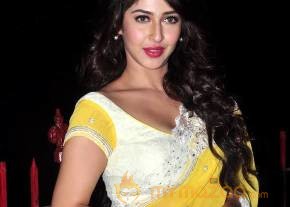 Sonarika Bhadoria Latest Photos photo 12