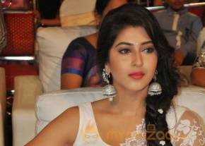 Sonarika Bhadoria Latest Stills photo 20