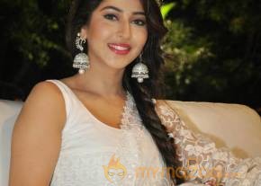 Sonarika Bhadoria Latest Stills photo 16