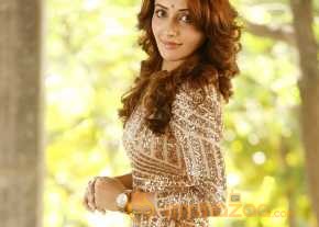  Sonia Mann Photoshoot At Doctor Chakravarthy Movie Launch  photo 13